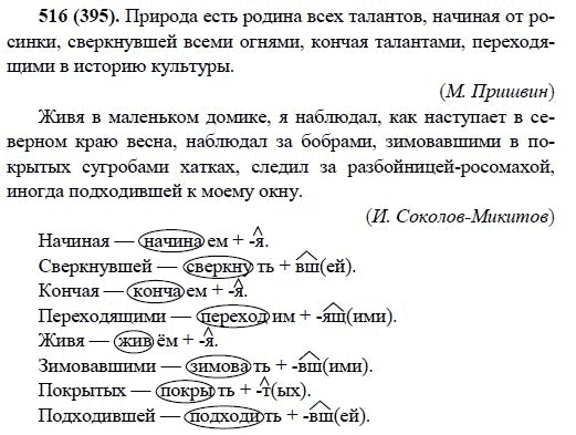 Русский язык, 6 класс, М.М. Разумовская, 2009 - 2011, задача: 516(395)