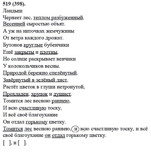 Русский язык, 6 класс, М.М. Разумовская, 2009 - 2011, задача: 519(398)