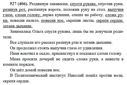 Русский язык, 6 класс, М.М. Разумовская, 2009 - 2011, задача: 527(406)
