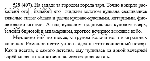 Русский язык, 6 класс, М.М. Разумовская, 2009 - 2011, задача: 528(407)