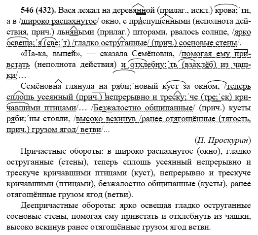Русский язык, 6 класс, М.М. Разумовская, 2009 - 2011, задача: 546(432)