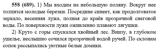 Русский язык, 6 класс, М.М. Разумовская, 2009 - 2011, задача: 558(689)