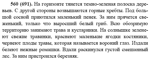 Русский язык, 6 класс, М.М. Разумовская, 2009 - 2011, задача: 560(691)