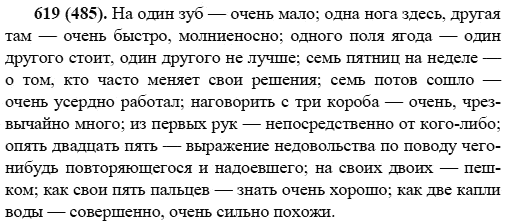 Русский язык, 6 класс, М.М. Разумовская, 2009 - 2011, задача: 619(485)