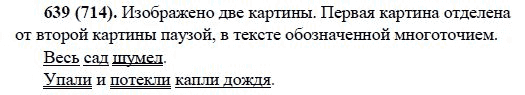 Русский язык, 6 класс, М.М. Разумовская, 2009 - 2011, задача: 639(714)