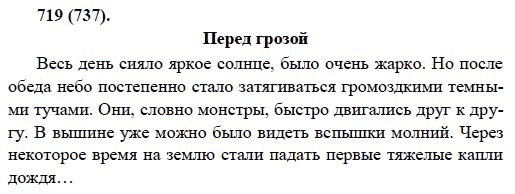 Русский язык, 6 класс, М.М. Разумовская, 2009 - 2011, задача: 719(737)