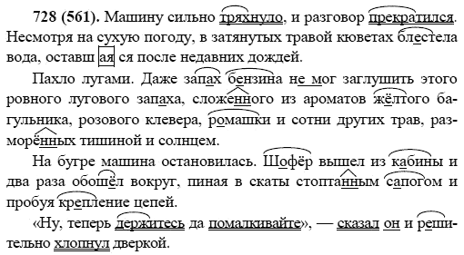 Русский язык, 6 класс, М.М. Разумовская, 2009 - 2011, задача: 728(561)