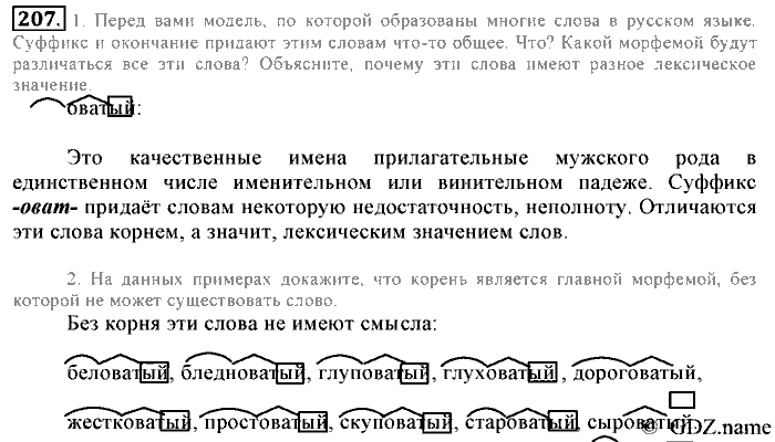 Русский язык, 6 класс, Разумовская, Львова, 2013, задача: 207