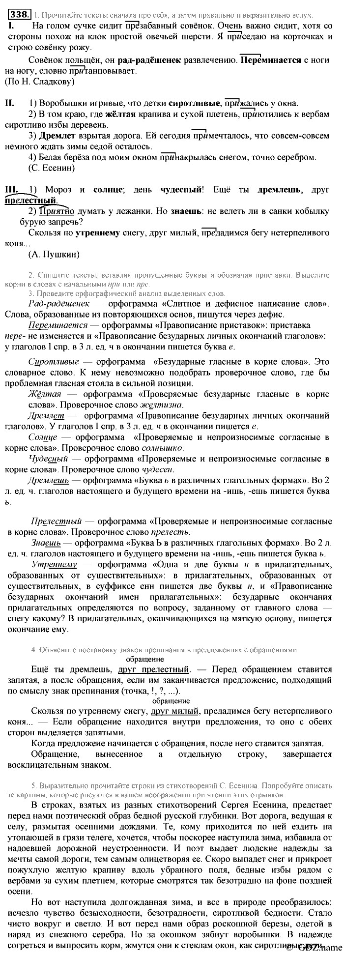 Русский язык, 6 класс, Разумовская, Львова, 2013, задача: 338