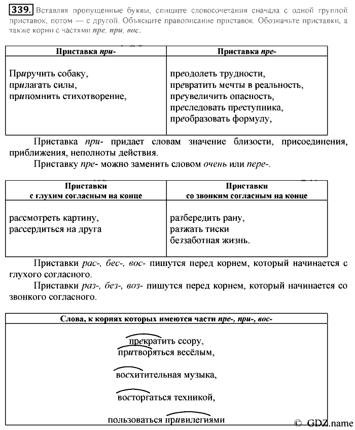 Русский язык, 6 класс, Разумовская, Львова, 2013, задача: 339