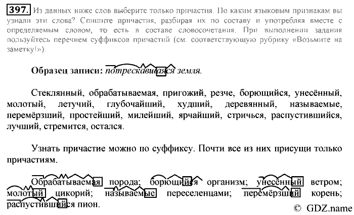 Русский язык, 6 класс, Разумовская, Львова, 2013, задача: 397