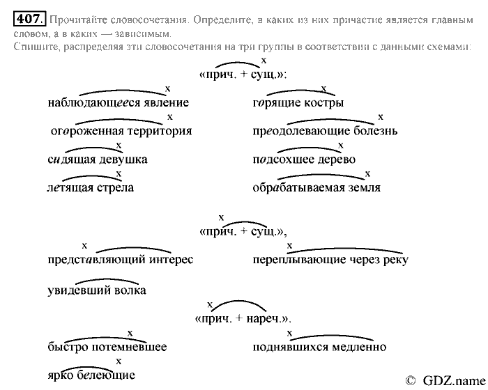 Русский язык, 6 класс, Разумовская, Львова, 2013, задача: 407
