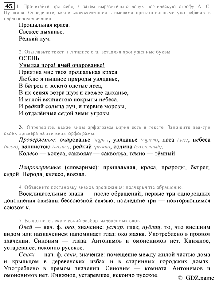 Русский язык, 6 класс, Разумовская, Львова, 2013, задача: 45