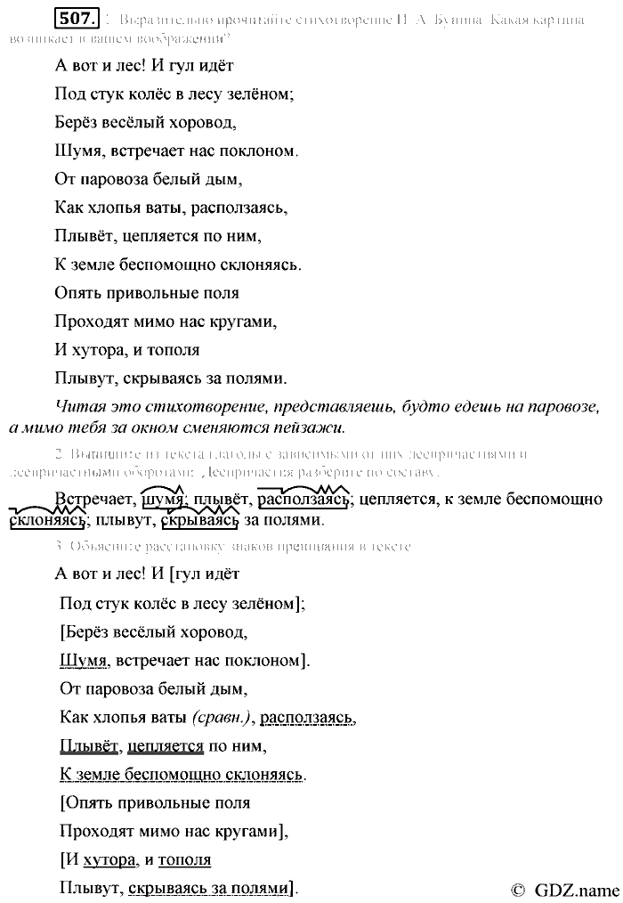 Русский язык, 6 класс, Разумовская, Львова, 2013, задача: 507