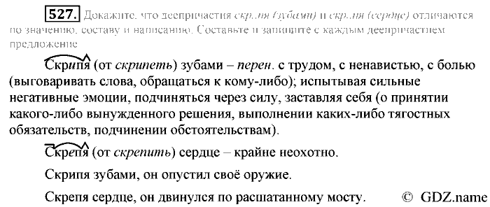 Русский язык, 6 класс, Разумовская, Львова, 2013, задача: 527