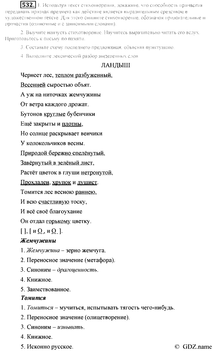 Русский язык, 6 класс, Разумовская, Львова, 2013, задача: 532