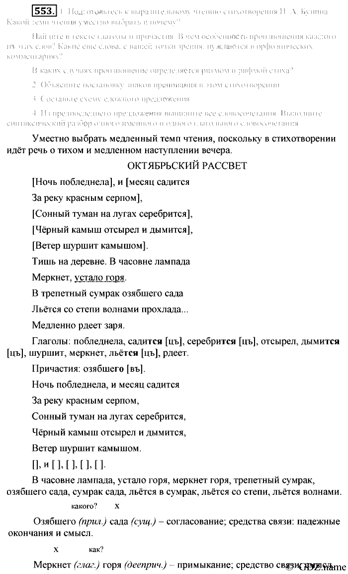 Русский язык, 6 класс, Разумовская, Львова, 2013, задача: 553