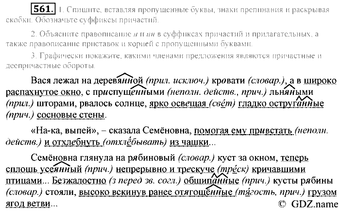 Русский язык, 6 класс, Разумовская, Львова, 2013, задача: 561