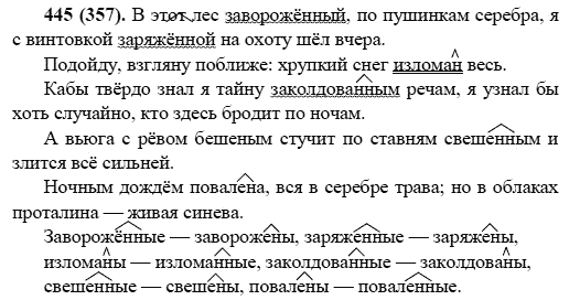 Русский язык, 6 класс, М.М. Разумовская, 2009 - 2012, задание: 445(357)
