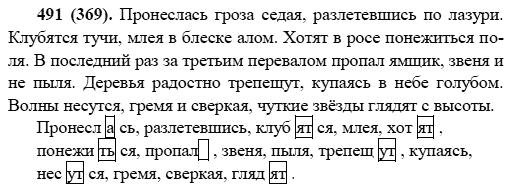 Русский язык, 6 класс, М.М. Разумовская, 2009 - 2012, задание: 491(369)