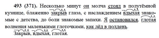 Русский язык, 6 класс, М.М. Разумовская, 2009 - 2012, задание: 493(371)