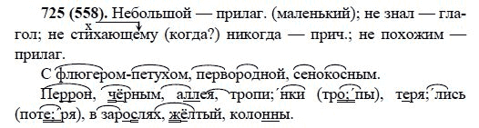 Русский язык, 6 класс, М.М. Разумовская, 2009 - 2012, задание: 725(558)