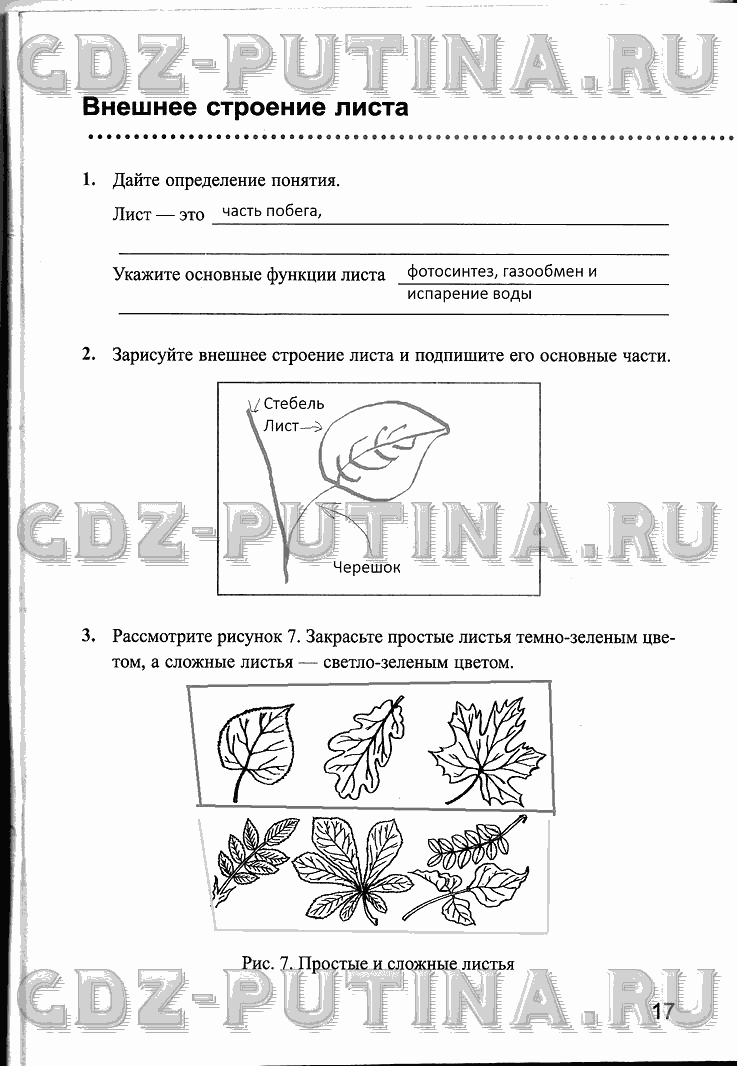 Рабочая тетрадь, 6 класс, Преображенская, 2013 - 2016, задание: 17