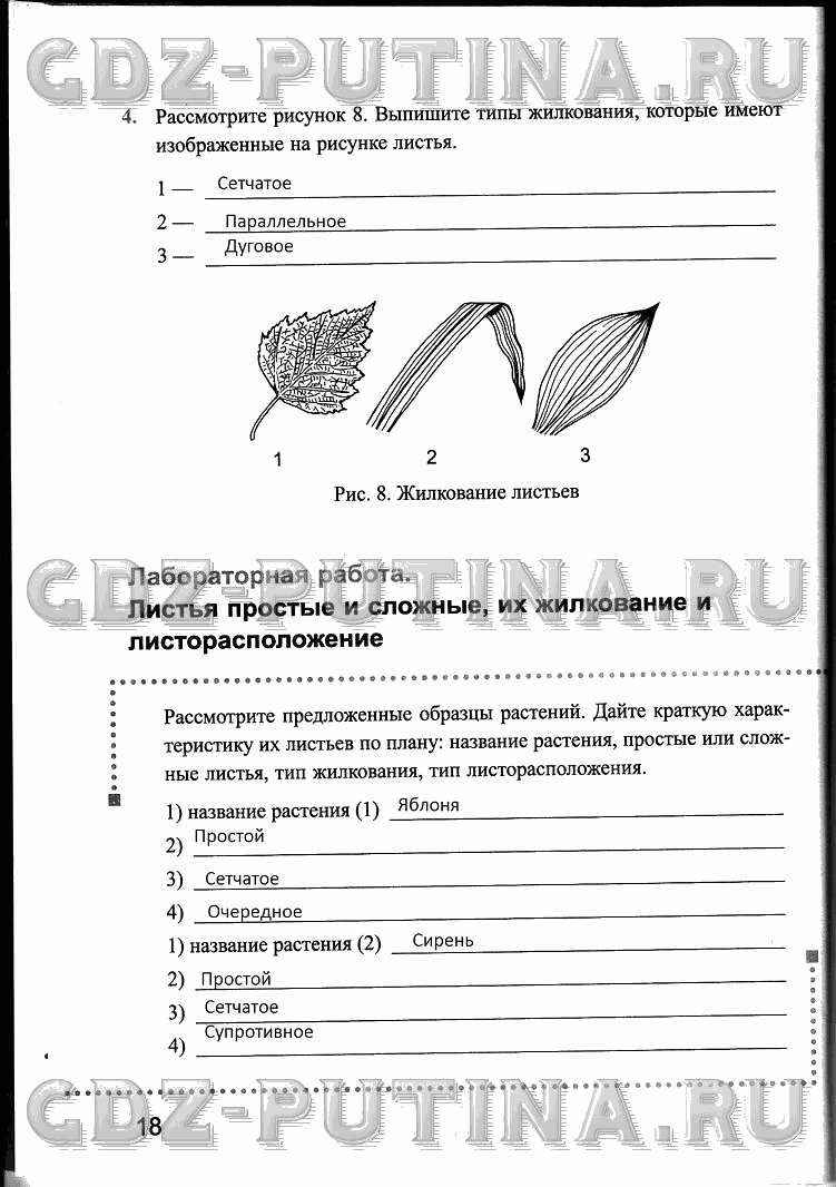 Рабочая тетрадь, 6 класс, Преображенская, 2013 - 2016, задание: 18
