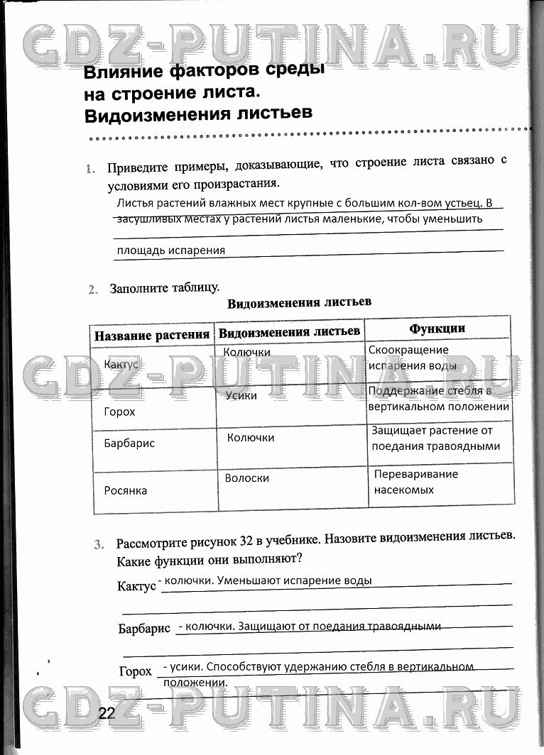Рабочая тетрадь, 6 класс, Преображенская, 2013 - 2016, задание: 22