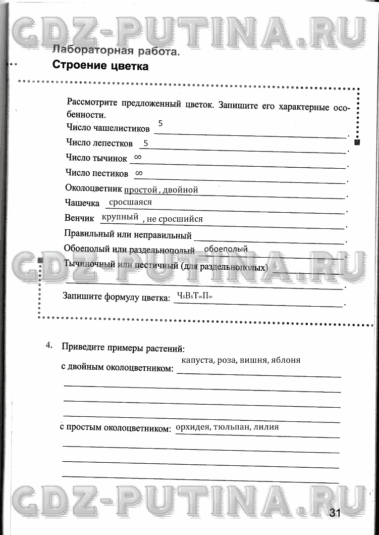 Рабочая тетрадь, 6 класс, Преображенская, 2013 - 2016, задание: 31