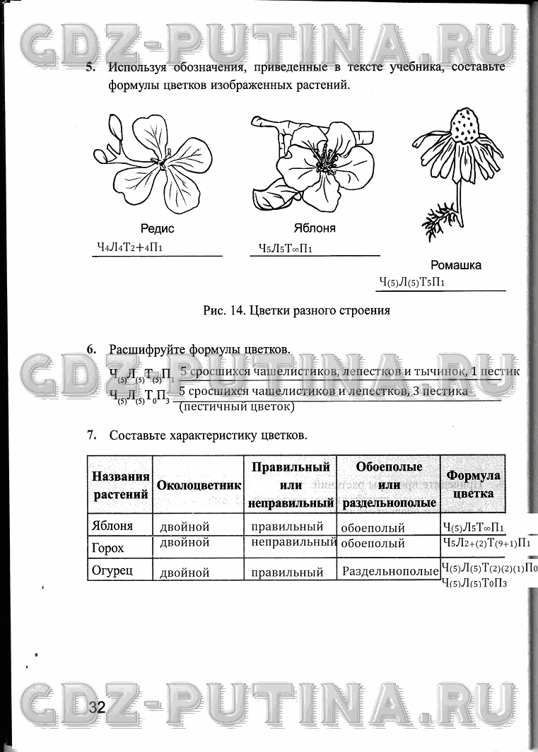 Рабочая тетрадь, 6 класс, Преображенская, 2013 - 2016, задание: 32