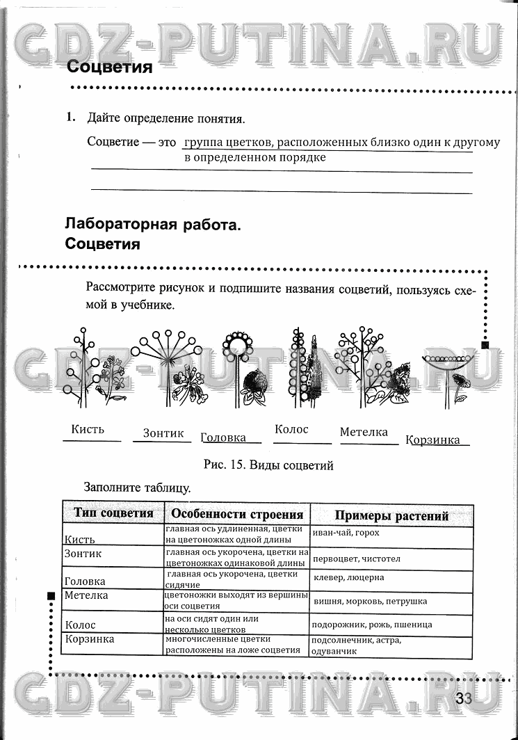 Рабочая тетрадь, 6 класс, Преображенская, 2013 - 2016, задание: 33