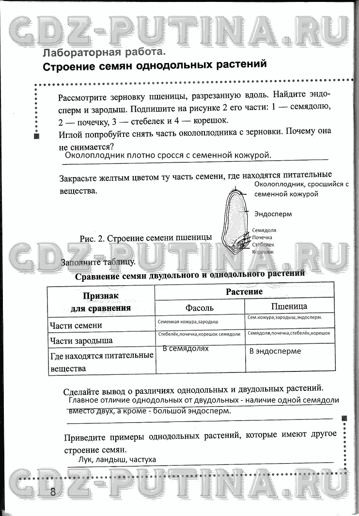 Рабочая тетрадь, 6 класс, Преображенская, 2013 - 2016, задание: 8