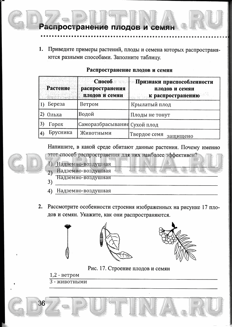 Рабочая тетрадь, 6 класс, Преображенская, 2013 - 2016, задание: 36