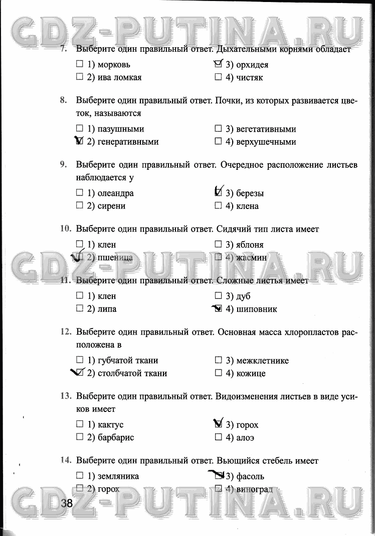 Рабочая тетрадь, 6 класс, Преображенская, 2013 - 2016, задание: 38