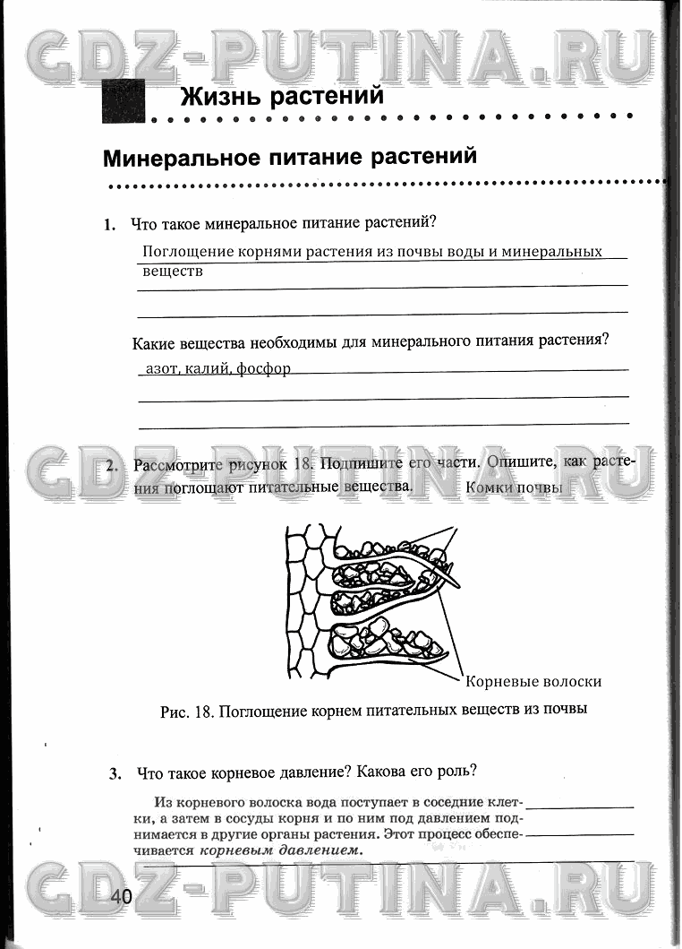 Рабочая тетрадь, 6 класс, Преображенская, 2013 - 2016, задание: 40