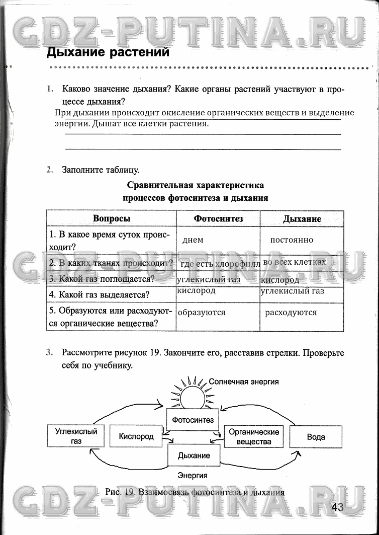 Рабочая тетрадь, 6 класс, Преображенская, 2013 - 2016, задание: 43