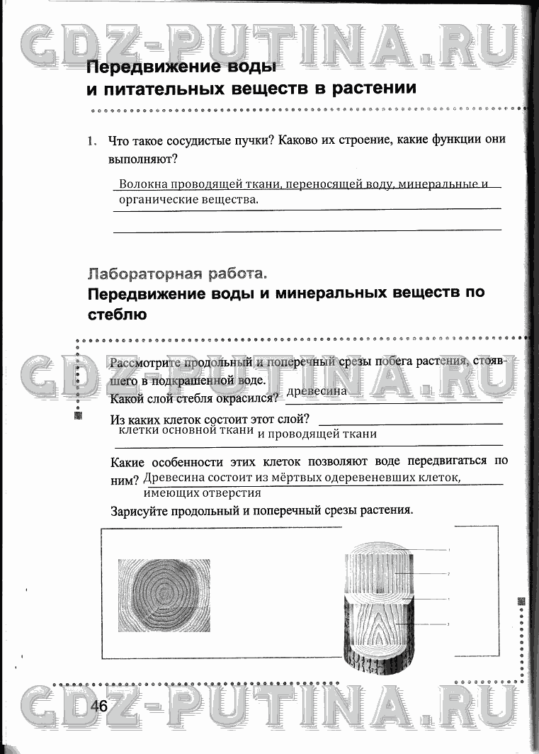 Рабочая тетрадь, 6 класс, Преображенская, 2013 - 2016, задание: 46