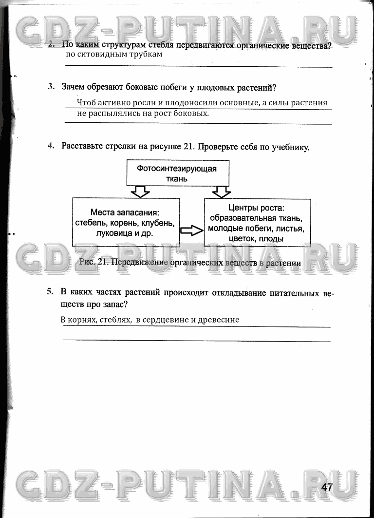 Рабочая тетрадь, 6 класс, Преображенская, 2013 - 2016, задание: 47