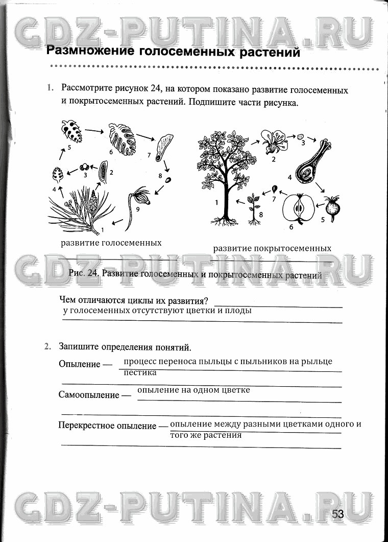 Рабочая тетрадь, 6 класс, Преображенская, 2013 - 2016, задание: 53
