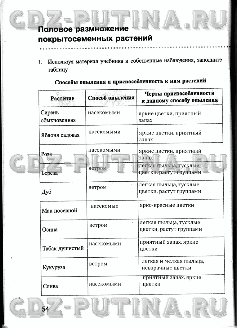 Рабочая тетрадь, 6 класс, Преображенская, 2013 - 2016, задание: 54