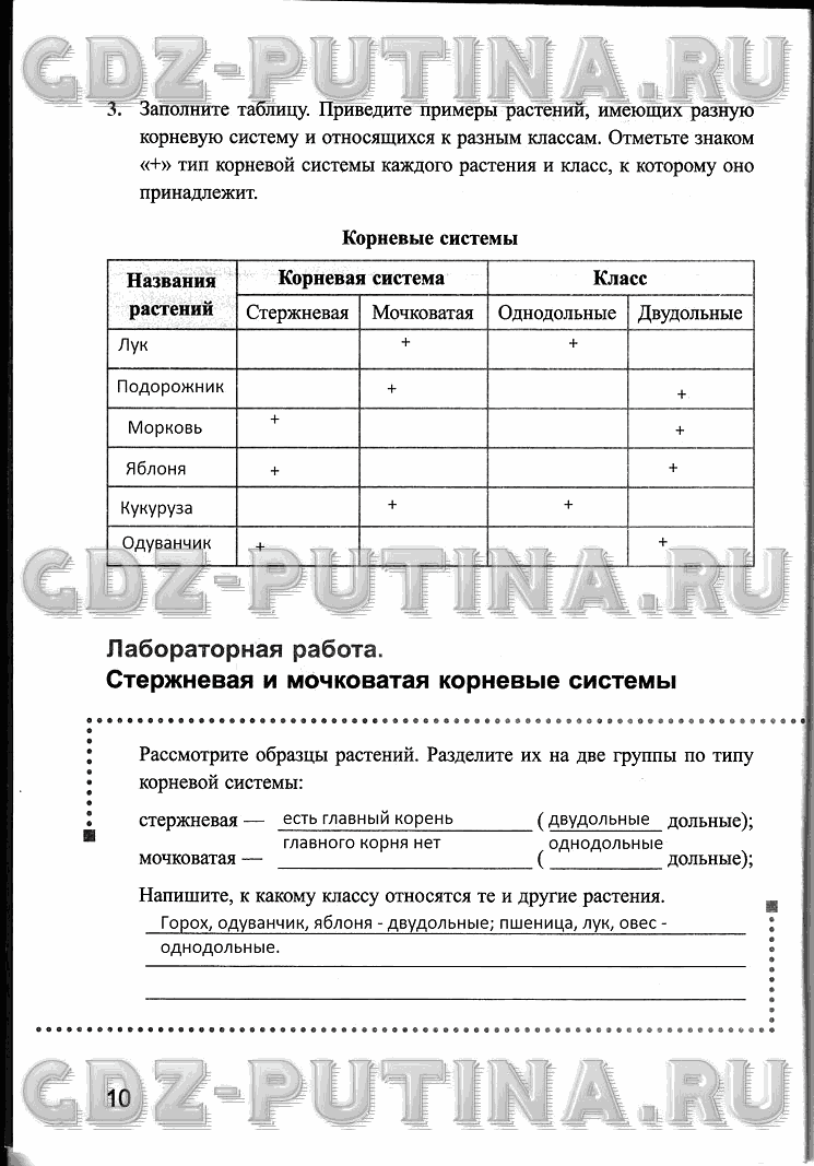 Рабочая тетрадь, 6 класс, Преображенская, 2013 - 2016, задание: 10
