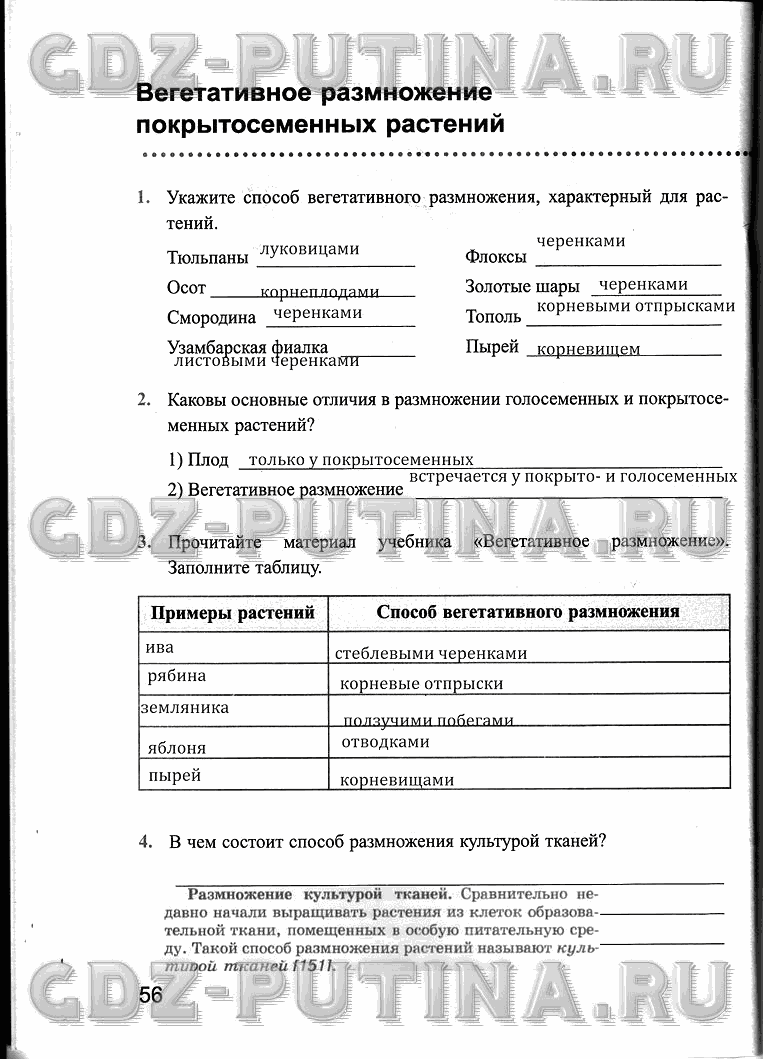 Рабочая тетрадь, 6 класс, Преображенская, 2013 - 2016, задание: 56