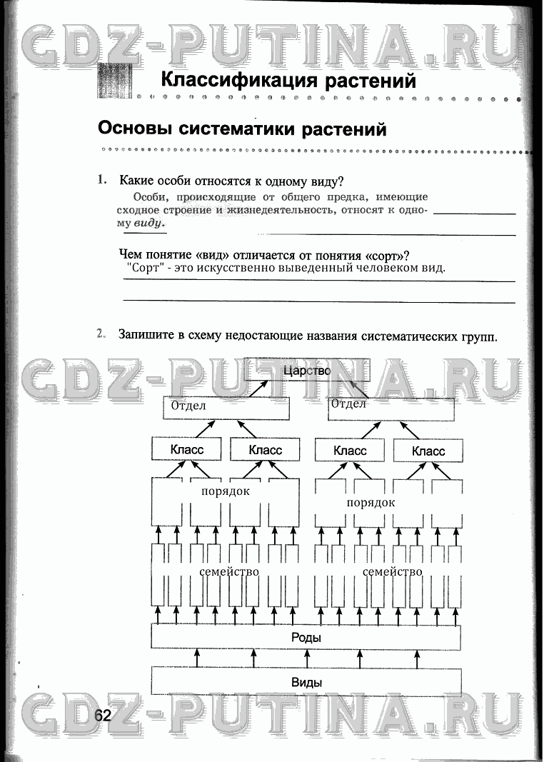 Рабочая тетрадь, 6 класс, Преображенская, 2013 - 2016, задание: 62
