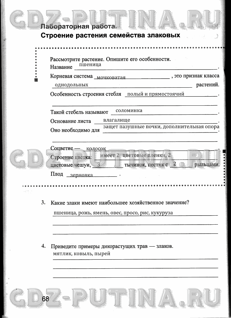 Рабочая тетрадь, 6 класс, Преображенская, 2013 - 2016, задание: 68