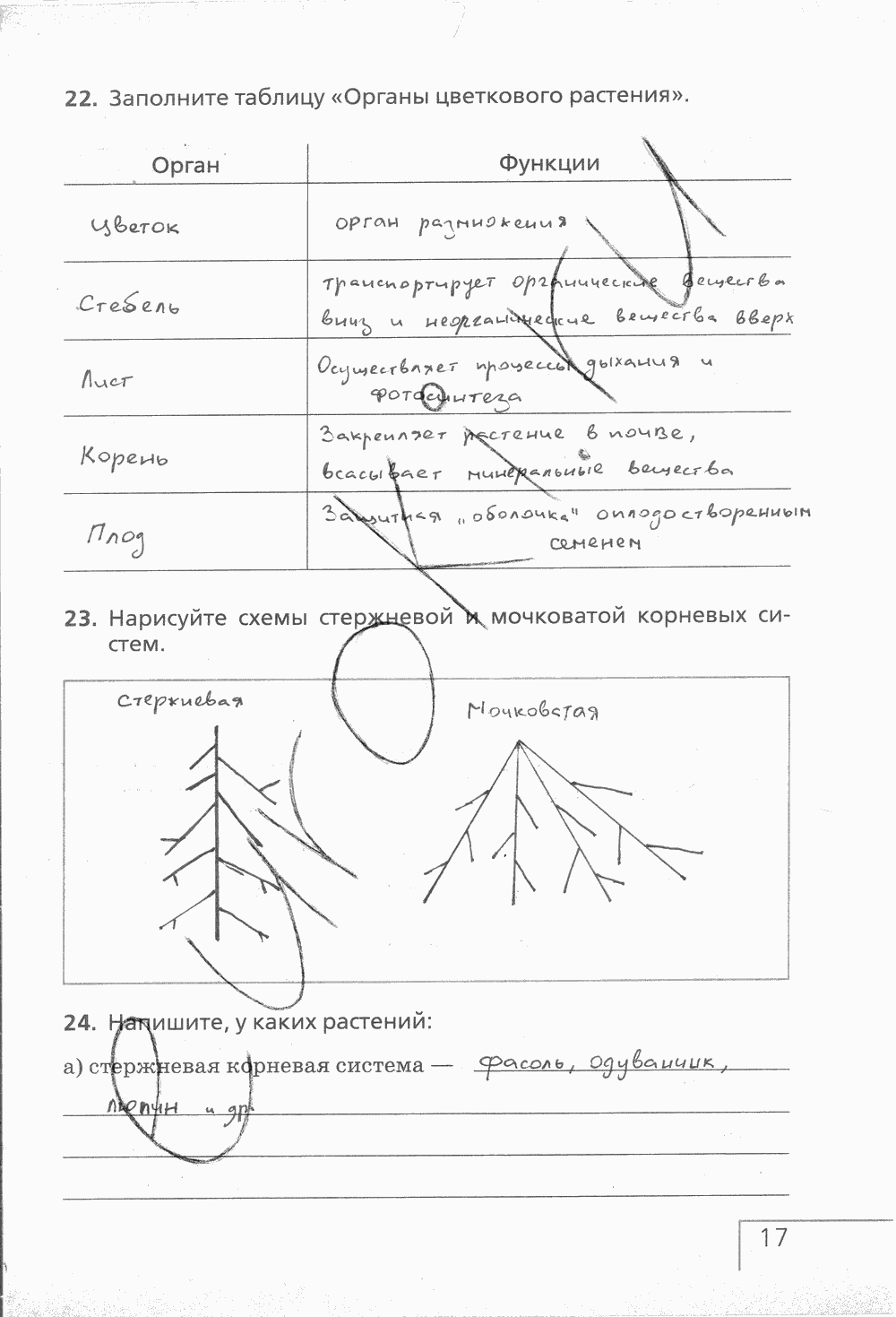 Рабочая тетрадь (с белочкой), 6 класс, Сонин Н.И., 2014, задание: стр. 17