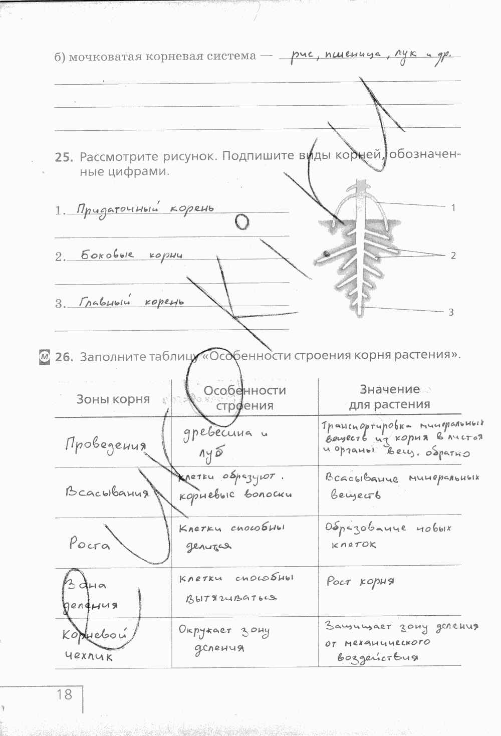 Рабочая тетрадь (с белочкой), 6 класс, Сонин Н.И., 2014, задание: стр. 18