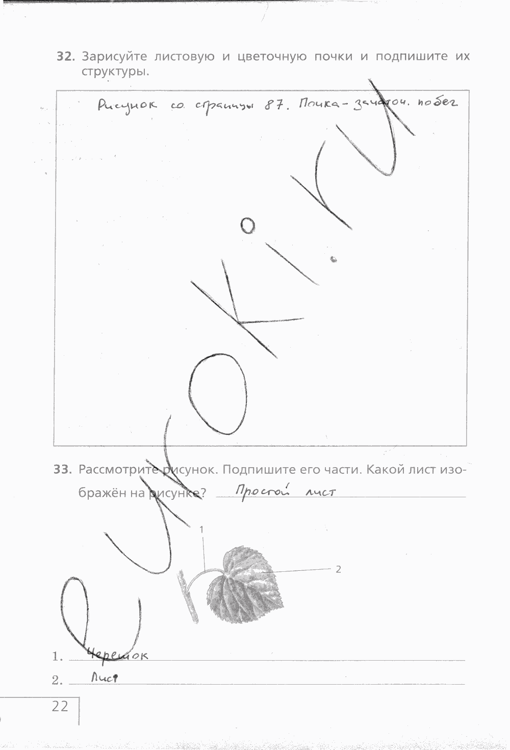 Рабочая тетрадь (с белочкой), 6 класс, Сонин Н.И., 2014, задание: стр. 22