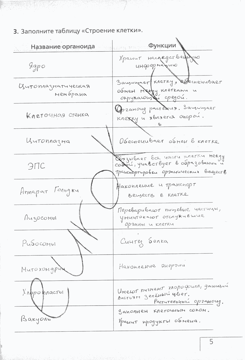 Рабочая тетрадь (с белочкой), 6 класс, Сонин Н.И., 2014, задание: стр. 5