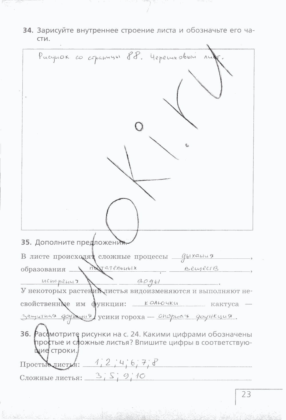 Рабочая тетрадь (с белочкой), 6 класс, Сонин Н.И., 2014, задание: стр. 23